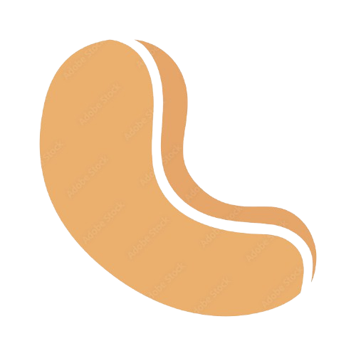 Home cashew icon removebg preview